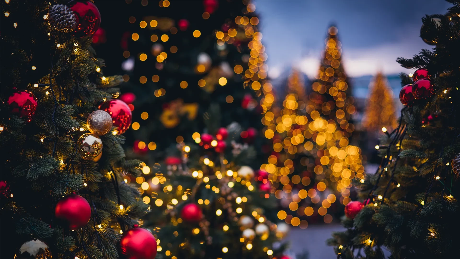 Kerstdiner voor een grote groep organiseren: zo geniet iedereen van een feestelijke kerst